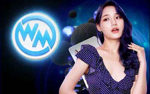WM CASINO noo66